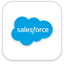 Salesforce icon